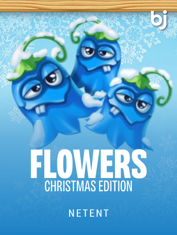 Flowers Christmas Editionpng